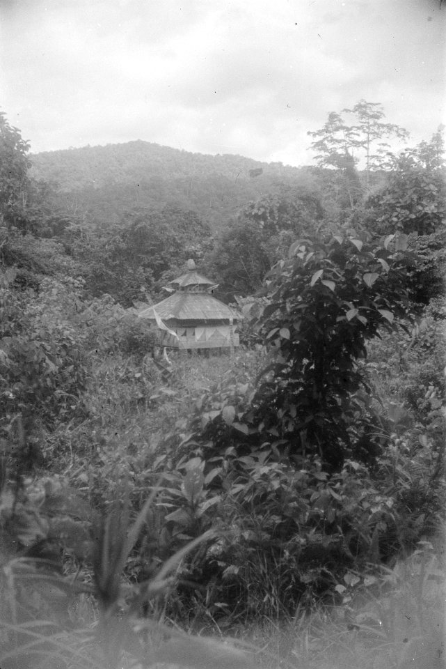  Borneo, Bestanddeelnr 1728-1-3