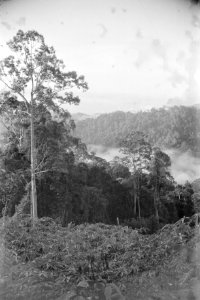  Borneo, Bestanddeelnr 1722-4-2