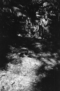  Borneo, Bestanddeelnr 1728-6-6