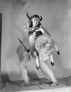 'Danse du Bison' Indiaanse danser met buffelhorens, verentooi, speer en schild, Bestanddeelnr 190-0784
