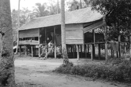  Borneo, Bestanddeelnr 1726-2-3