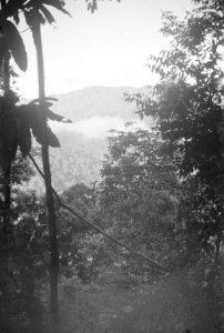  Borneo, Bestanddeelnr 1725-1-5