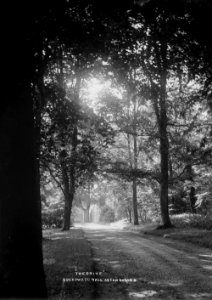 "The drive" Broadward Hall Aston on Clun (1294363)