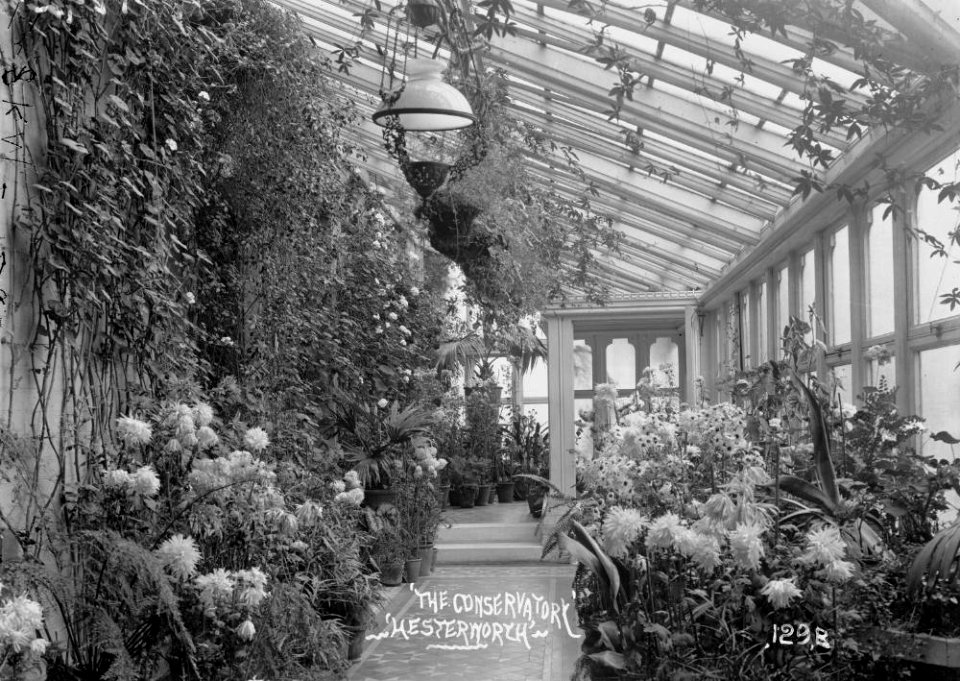 'The conservatory' 'Hesterworth' (1293729)