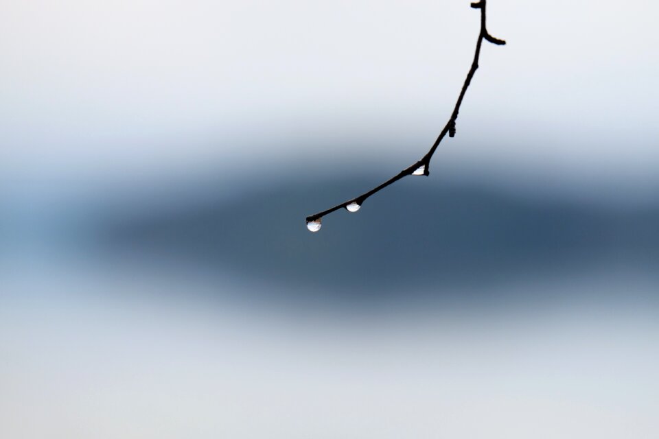 Winter outdoors abstract
