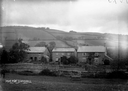 ' Park View' (1293924)