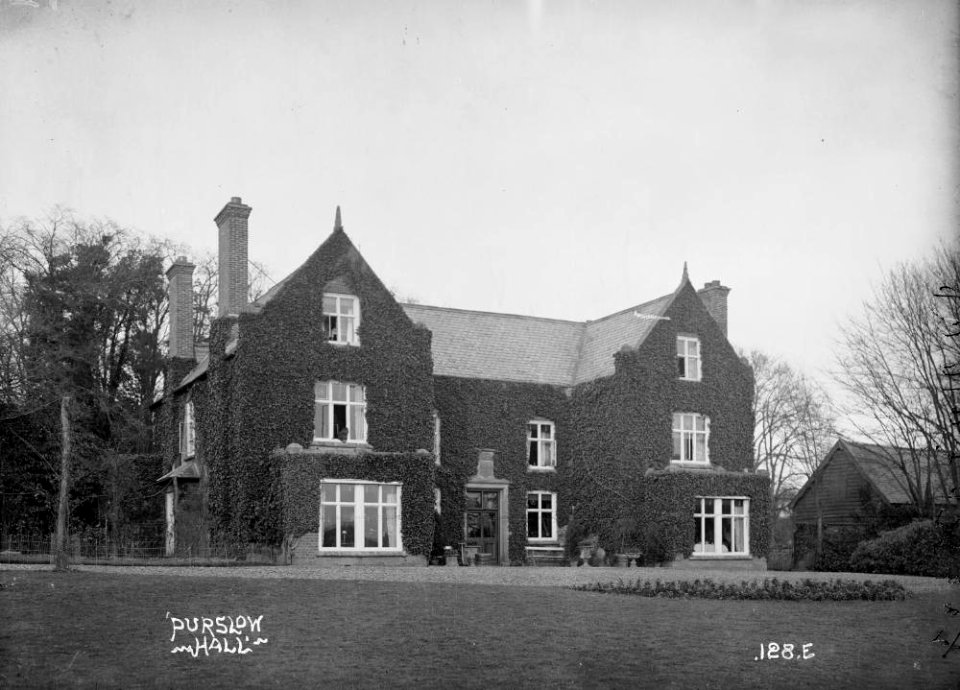 ' Purslow Hall' (1294988)