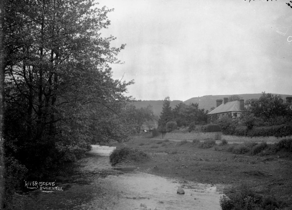 ' River scene' Bucknell (1295042)