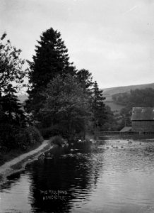 'The Mill pond' Newcastle (1294979)