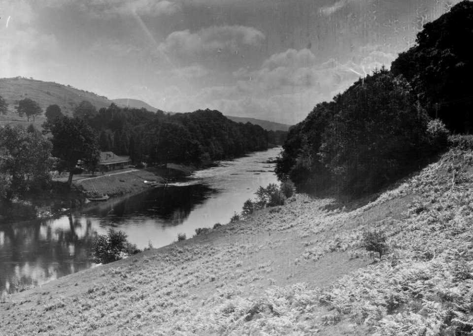 -The Nyth, Aberedw (1294842)