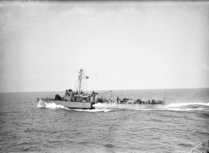 -Motorschip Queen Wilhelmine, Bestanddeelnr 902-2485