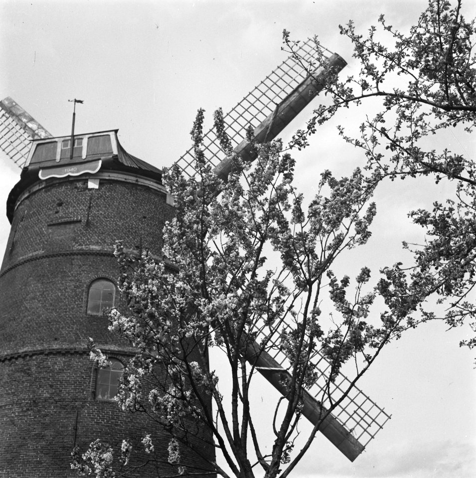 19460429 De Zwaan Lienden GL NL Bestanddeelnr 901-6952