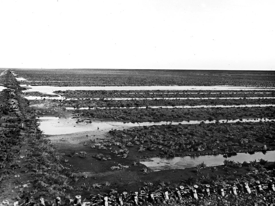 1930, Bestanddeelnr 195-0079