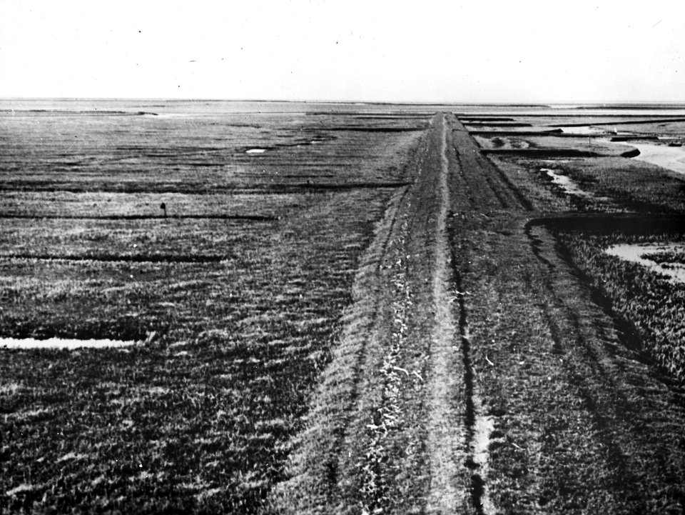 1930, Bestanddeelnr 195-0084