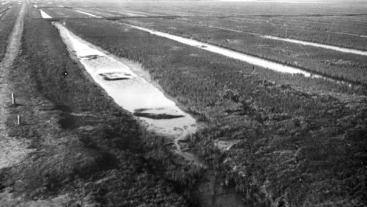 1933, Bestanddeelnr 195-0083