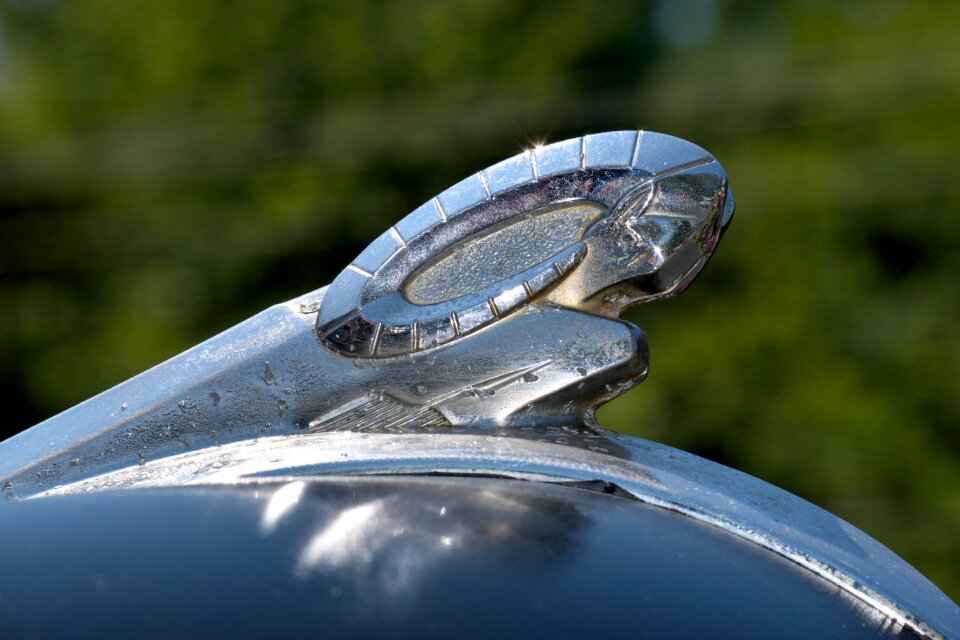 Ornament decoration car