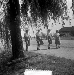 1e Dag Vierdaagse Lenk div. flitsen, Bestanddeelnr 905-2343