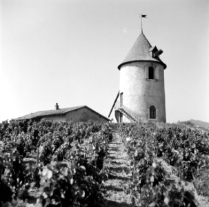 13de eeuwse windmolen in de wijngaarden van de Moulin a Vent, Bestanddeelnr 254-0285