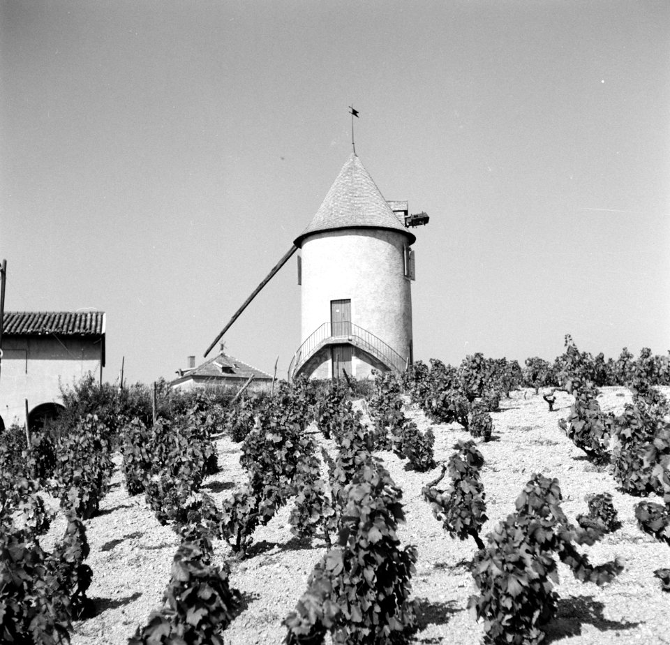 13de eeuwse windmolen in de wijngaarden van de Moulin a Vent, Bestanddeelnr 254-0284