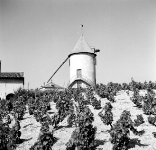 13de eeuwse windmolen in de wijngaarden van de Moulin a Vent, Bestanddeelnr 254-0284