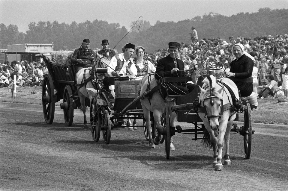 15e Dag van het paard , een jaarlijks evenement op Duindigt ponywagens met me, Bestanddeelnr 931-6090