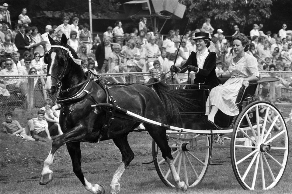 15e Dag van het paard , een jaarlijks evenement op Duindigt staatssecretaris , Bestanddeelnr 931-6088
