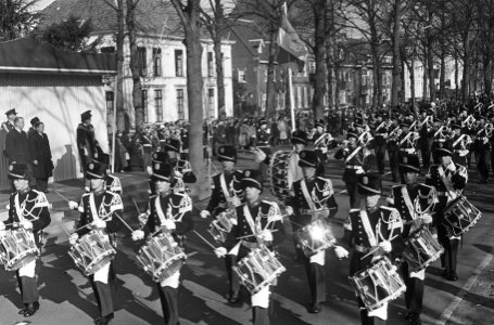 150 jaar Koninklijke Marechaussee , defile op de Maliebaan te Utrecht, overzicht, Bestanddeelnr 917-0641