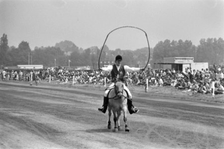 15e Dag van het paard , een jaarlijks evenement op Duindigt een touwtje sprin, Bestanddeelnr 931-6087