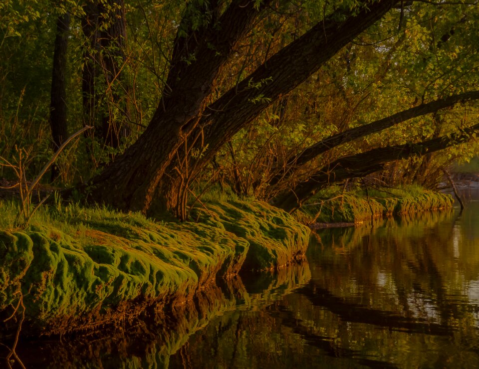 Reflection water lake