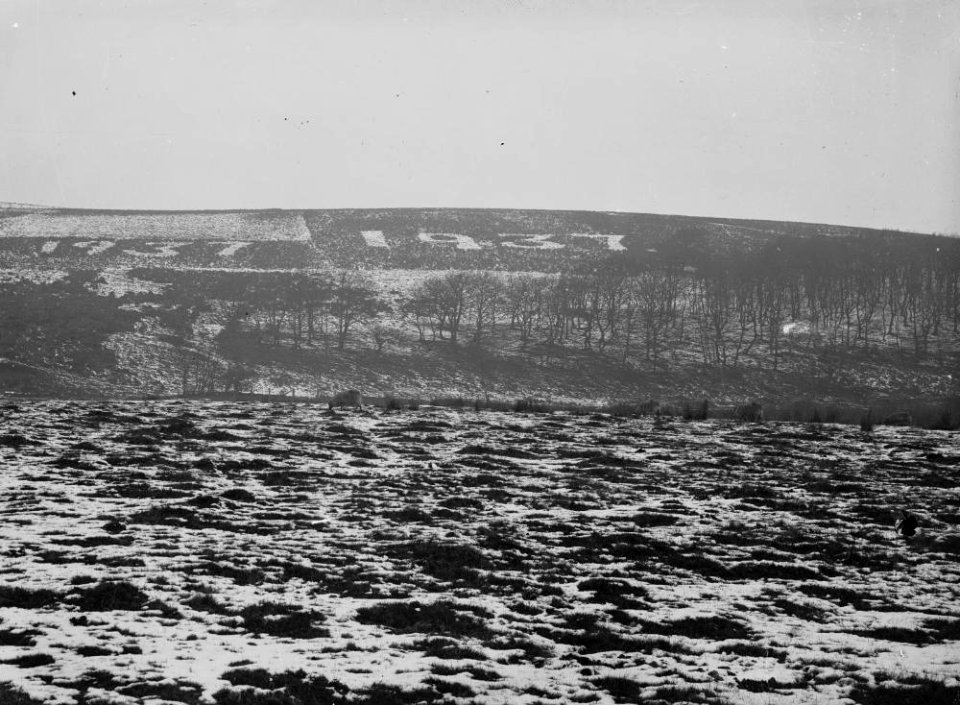 1937 cut into hillside (1294432)