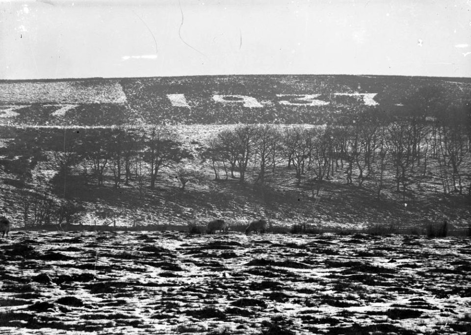 1937 cut into hillside (1295032)
