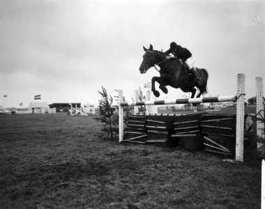 18e Nationale Concours Hippique te Blaricum, mejuffrouw M Koster, Bestanddeelnr 916-6316