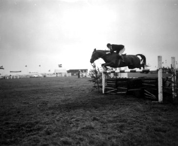 18e Nationale Concours Hippique te Blaricum, mejuffrouw M Koster gaat met Ocean, Bestanddeelnr 916-6313