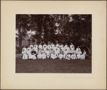 1895 Personeel Hoofdadministratie, Bestanddeelnr 857 P33