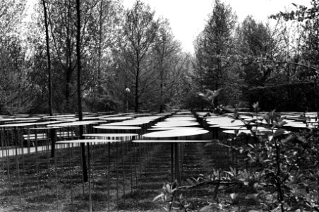 3e beeldententoonstelling in Amsterdamse Amstelpark van 28 april tot 30 augustus, groot veld van ronde vormen op stelen, Bestanddeelnr 931-4510