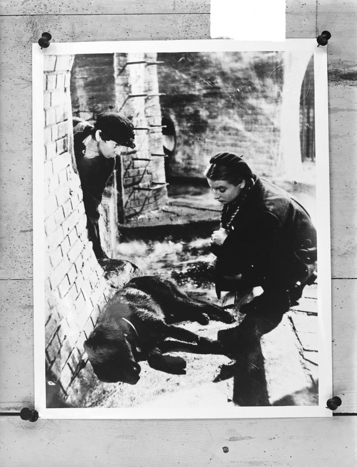 35 Repro's Actueel Film Waarheid kent geen grenzen, Bestanddeelnr 903-6915