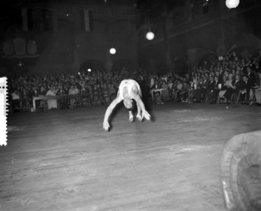 4 landen gymnastiek van Simson te Amsterdam, Bestanddeelnr 910-9668