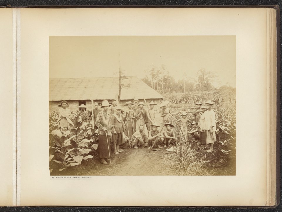 40. Groep van Chinesche Koelies, Bestanddeelnr 851 23