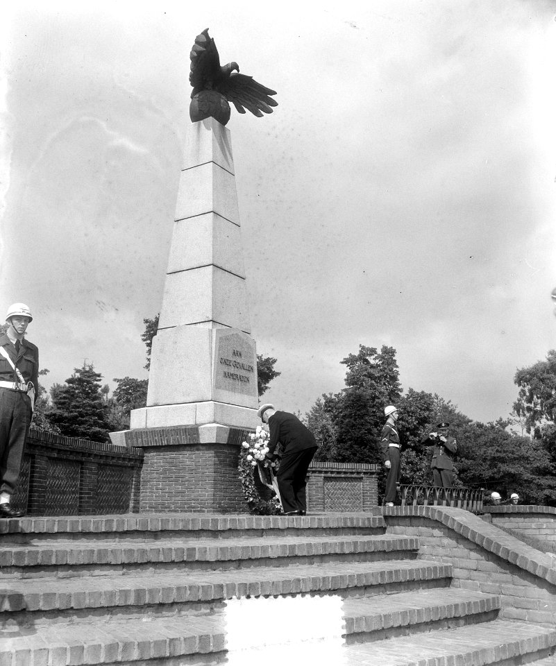 40 Jarig bestaan Koninklijke Luchtmacht . Kranslegging bij het Vliegermonument t, Bestanddeelnr 905-8113