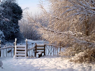 Winter landscape fence