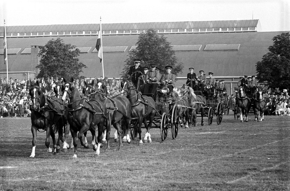 30 ste Nationale trekpaarden tentoonstelling in Den Bosch , de carouselrijtuigen, Bestanddeelnr 914-3134