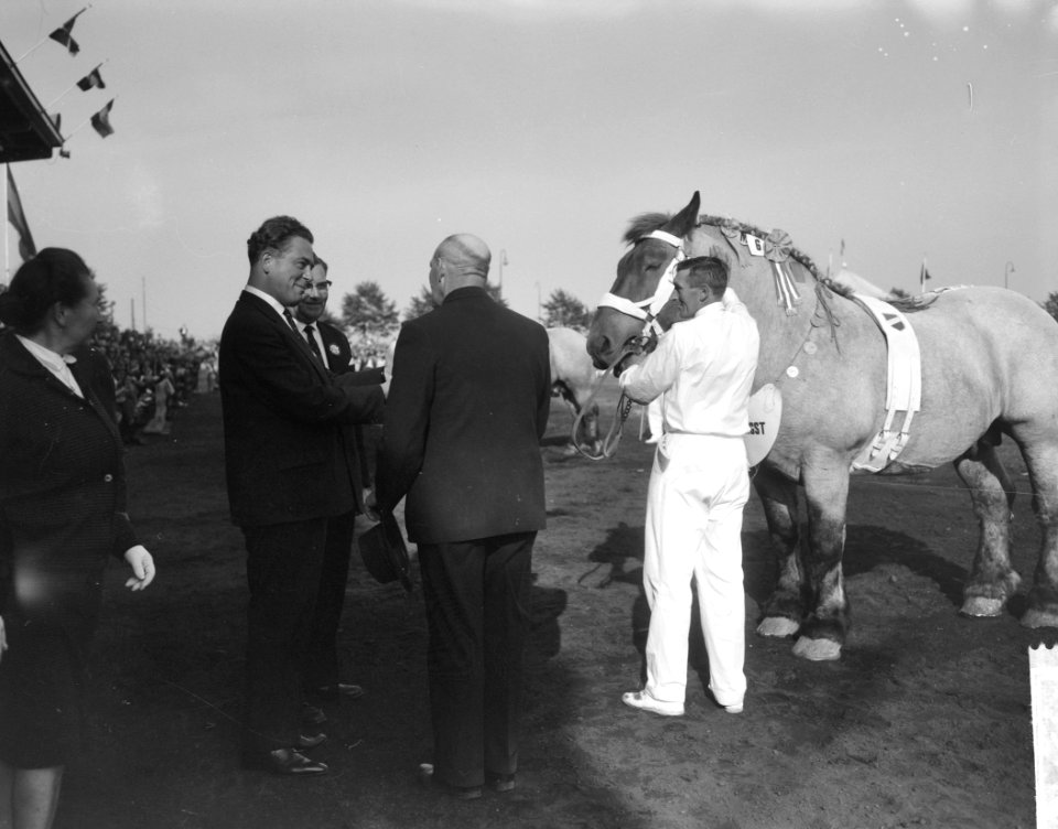 30 ste Nationale trekpaarden tentoonstelling in Den Bosch, Bestanddeelnr 914-3144