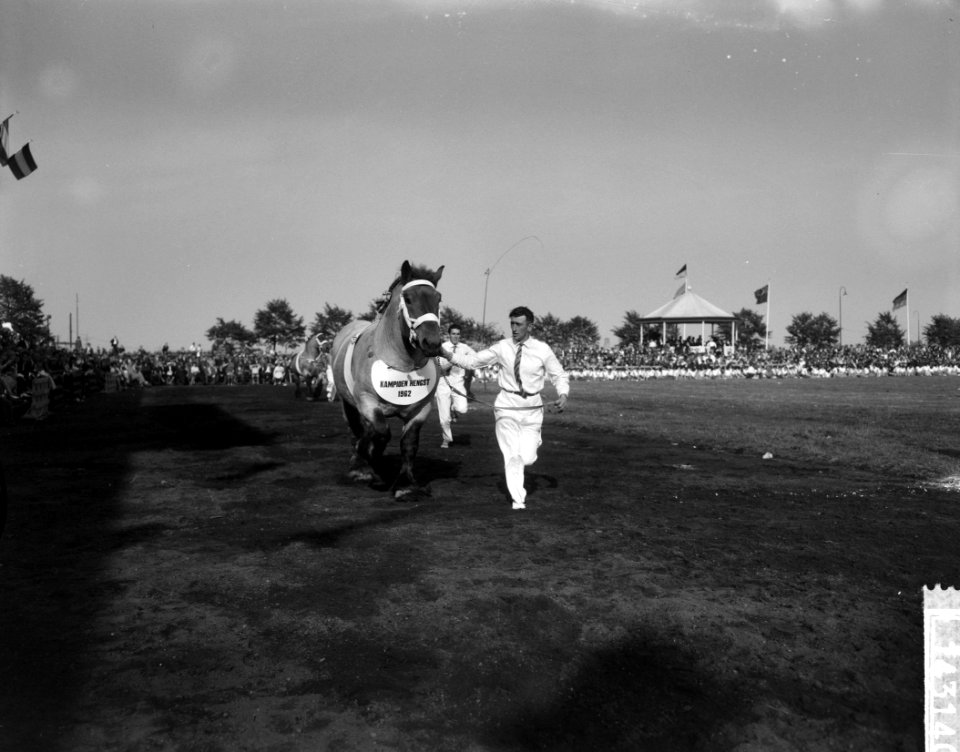 30 ste Nationale trekpaarden tentoonstelling in Den Bosch, Bestanddeelnr 914-3140