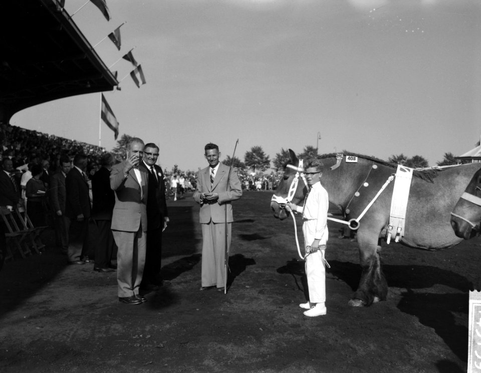 30 ste Nationale trekpaarden tentoonstelling in Den Bosch, Bestanddeelnr 914-3139