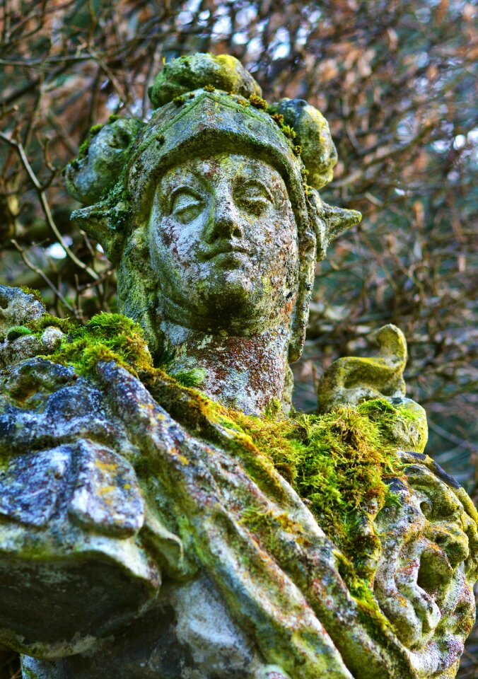 Roof weathered rock lichen