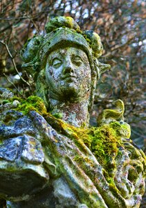 Roof weathered rock lichen photo