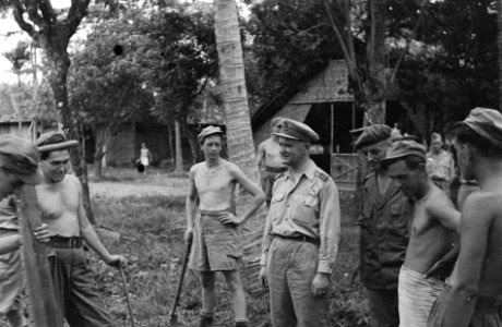 2e Infanterie BrigadegroepGeneraal Kruls bekijkt het vellen van een palmboom, Bestanddeelnr 4306