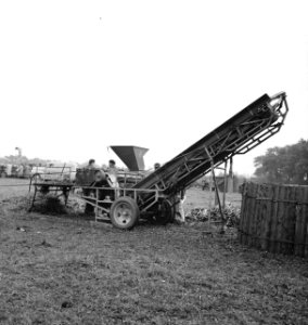 6x6 Bietenmoesmachine, gecombineerd met transporteur naar de silo, Bestanddeelnr 256-0922