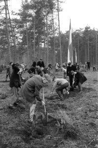 5de Jaarlijkse Nationale Boomfeestdag te Bilthoven. Planten 600 kinderen bomen, Bestanddeelnr 912-2867