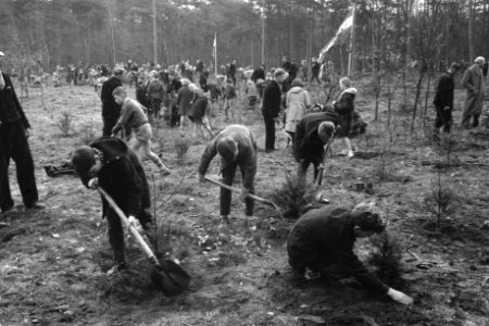 5de Jaarlijkse Nationale Boomfeestdag te Bilthoven. In de bossen van Het Utrech, Bestanddeelnr 912-2865